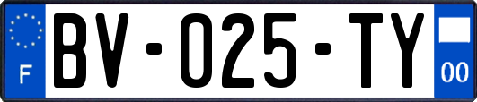 BV-025-TY