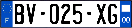BV-025-XG