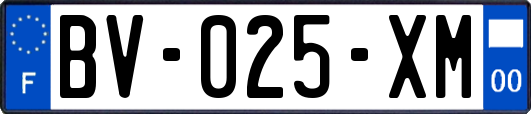 BV-025-XM