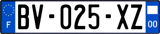 BV-025-XZ