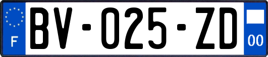 BV-025-ZD