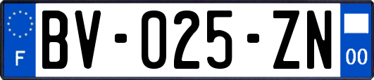 BV-025-ZN