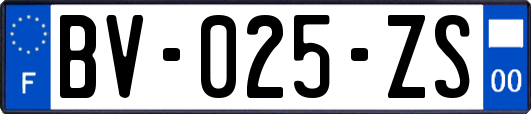 BV-025-ZS