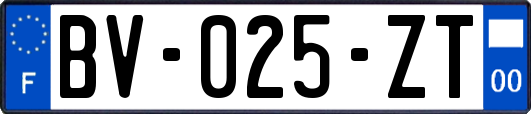 BV-025-ZT