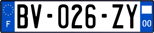 BV-026-ZY