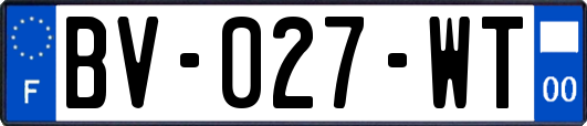 BV-027-WT