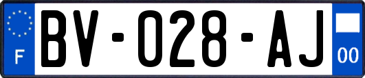 BV-028-AJ