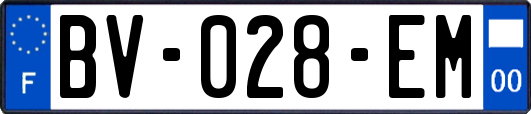BV-028-EM