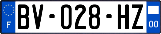 BV-028-HZ