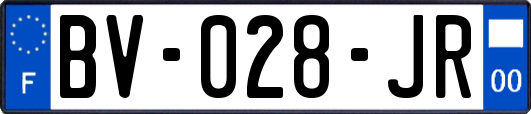 BV-028-JR