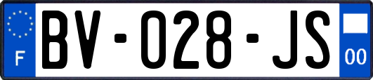 BV-028-JS