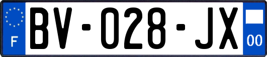 BV-028-JX