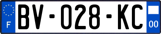 BV-028-KC