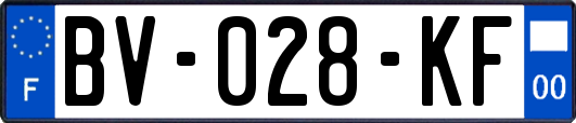 BV-028-KF
