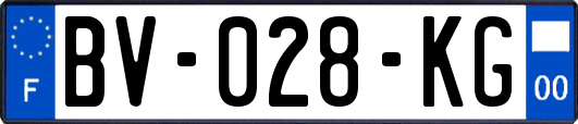 BV-028-KG