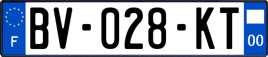 BV-028-KT