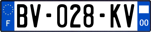 BV-028-KV