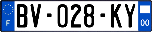 BV-028-KY