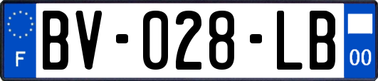 BV-028-LB
