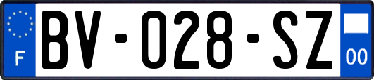 BV-028-SZ