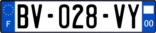 BV-028-VY