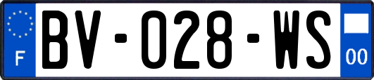 BV-028-WS