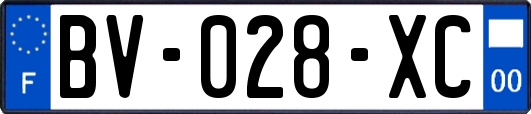 BV-028-XC