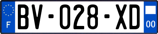 BV-028-XD