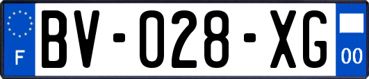 BV-028-XG
