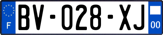 BV-028-XJ