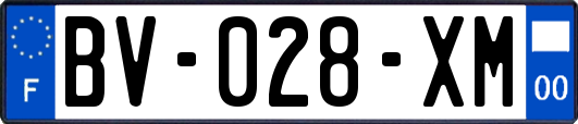 BV-028-XM