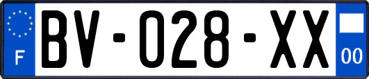 BV-028-XX