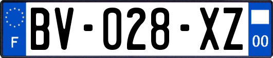 BV-028-XZ