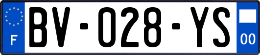 BV-028-YS