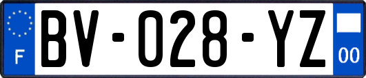 BV-028-YZ