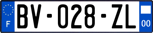 BV-028-ZL