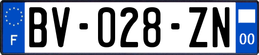 BV-028-ZN