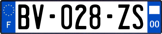 BV-028-ZS