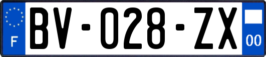 BV-028-ZX