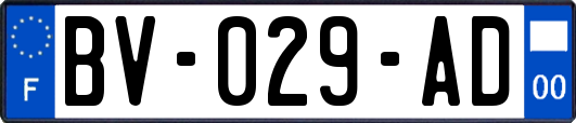 BV-029-AD