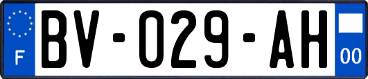 BV-029-AH