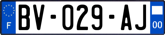 BV-029-AJ