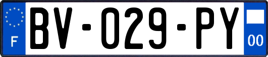 BV-029-PY