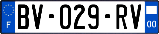 BV-029-RV