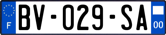 BV-029-SA