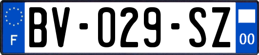 BV-029-SZ