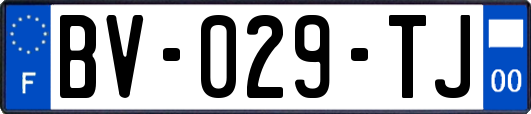 BV-029-TJ