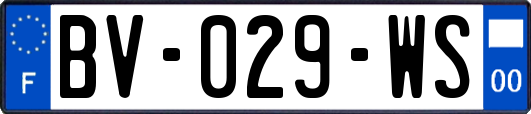 BV-029-WS