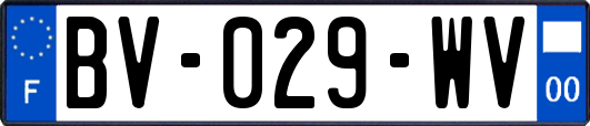 BV-029-WV