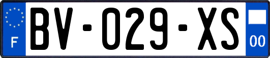 BV-029-XS